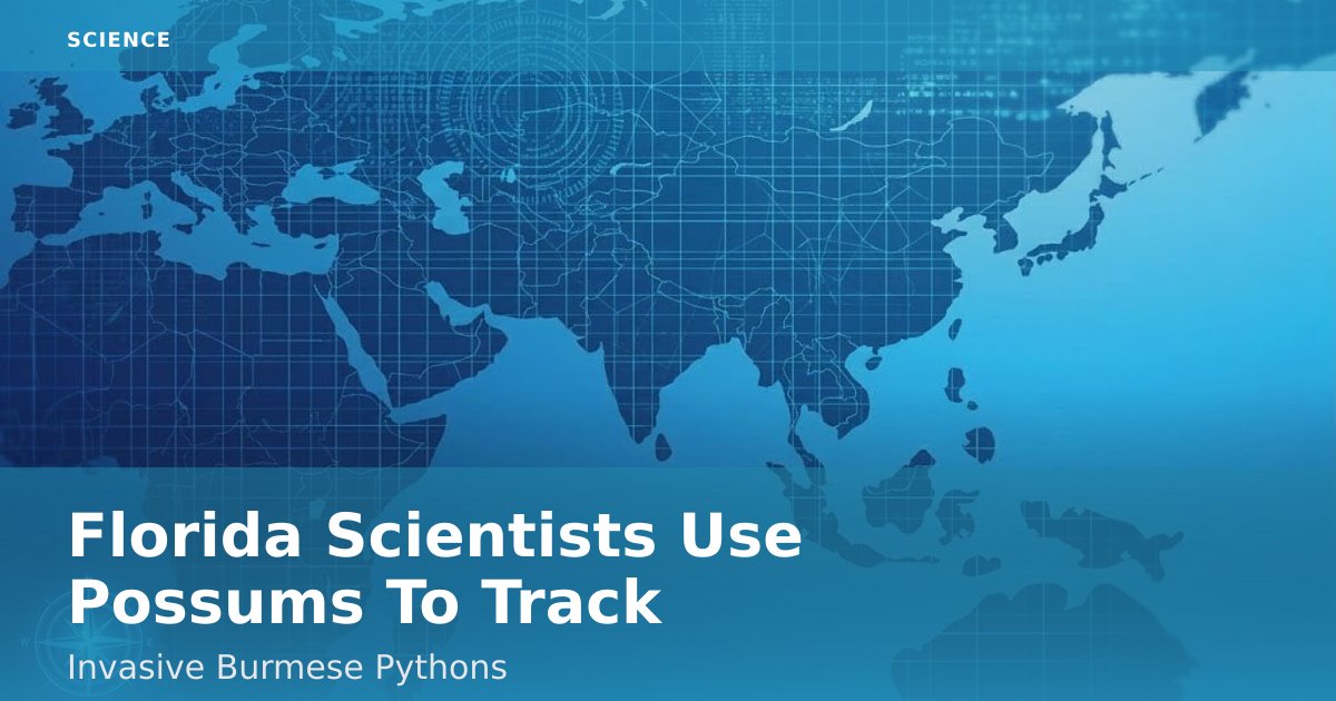 Florida Scientists Use Possums To Track Invasive Burmese Pythons