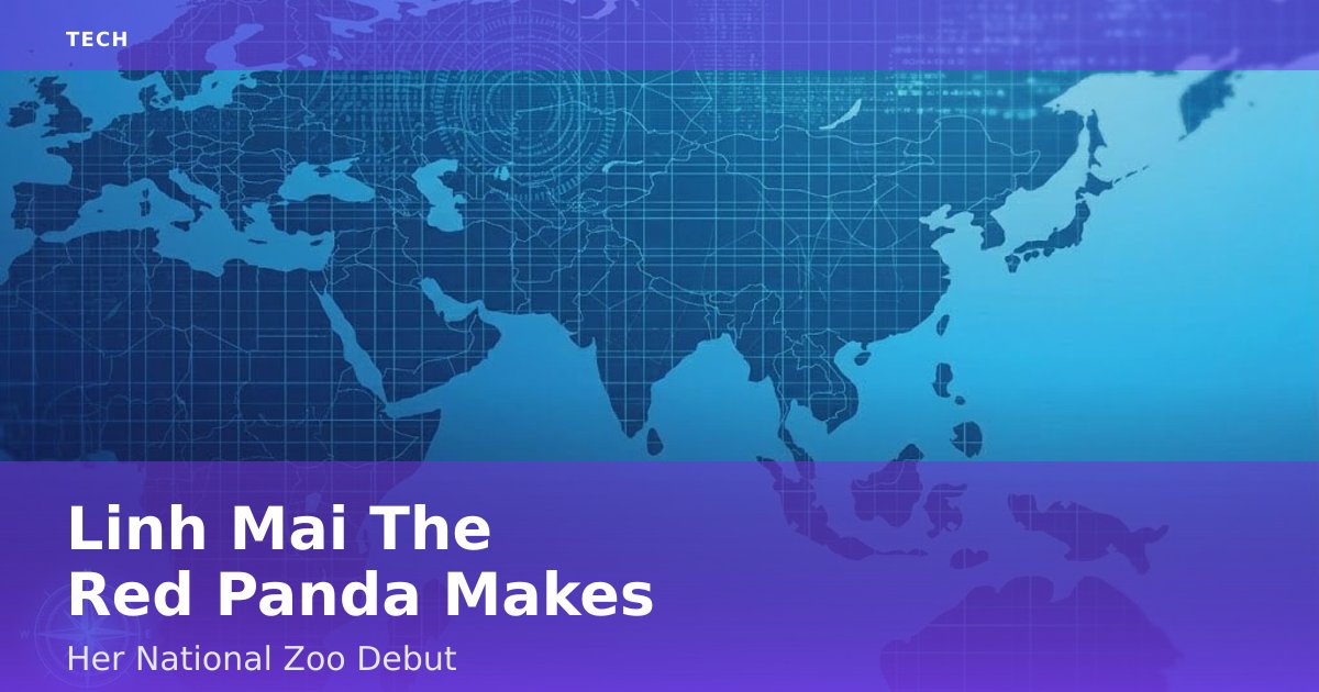 Linh Mai The Red Panda Makes Her National Zoo Debut